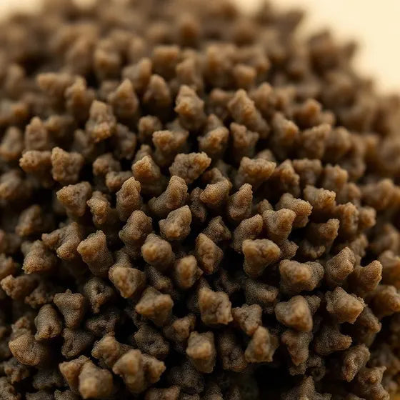 Chondrus Crispus Extract
